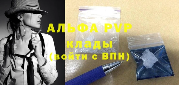 альфа пвп Новодвинск