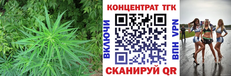 Купить где  Волжск  Дистиллят ТГК концентрат 